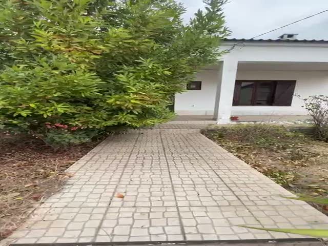 No Flash found